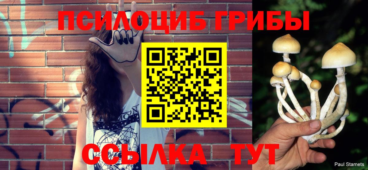 Галлюциногенные грибы Cubensis Кувандык