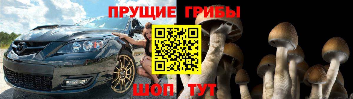 Галлюциногенные грибы Cubensis  Вход с VPN  Кувандык 